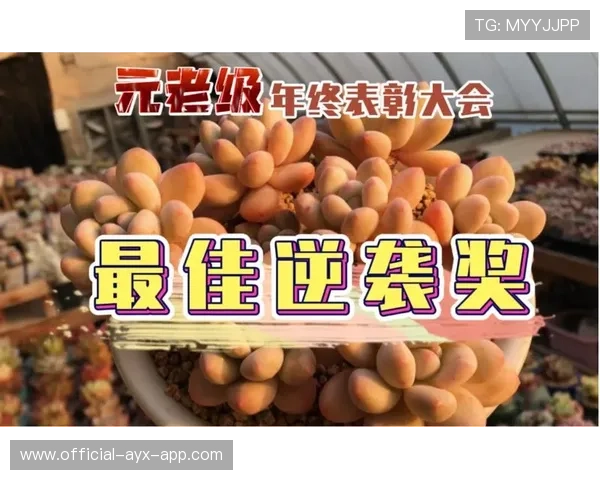 联赛宣布新增年度“最佳逆袭奖”