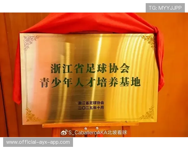 中国足球社区足球活动对城市体育文化的推动作用，我国现阶段社会足球的发展概况及存在的问题