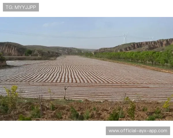 体育新闻中心记录体育助力乡村振兴的内容案例,乡村体育振兴调研报告 体育新闻中心记录体育助力乡村振兴的内容案例,乡村体育振兴调研报告