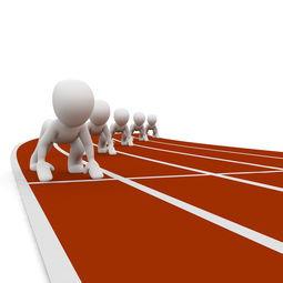 爱游戏登录入口-全运会筹备工作进入冲刺阶段，全运会备战方案